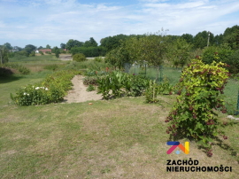 Zadbane Mieszkanie w pobliżu Świebodzina
